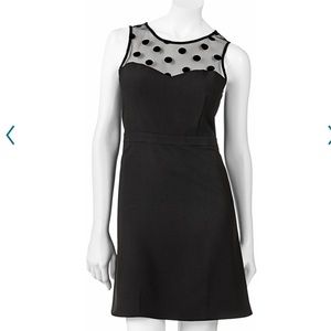 LC Lauren Conrad dot dress